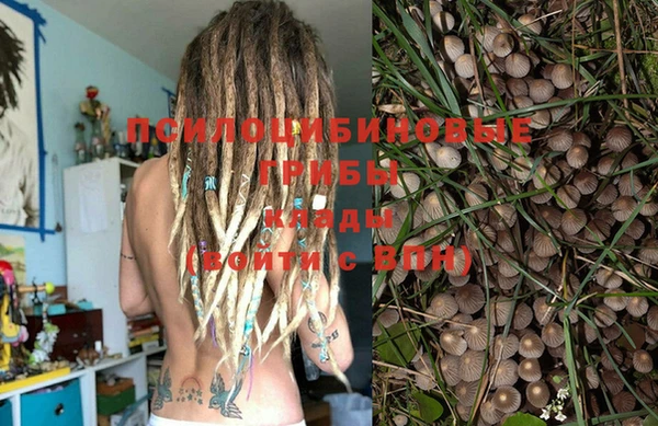 кокс Абдулино