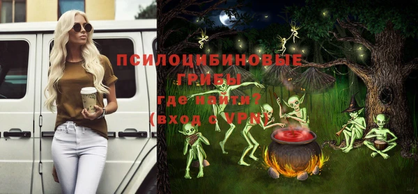 хмурый Алексин