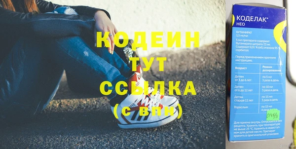 хмурый Алексин
