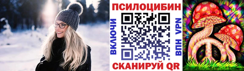 Псилоцибиновые грибы Psilocybe  дарк нет наркотические препараты  Райчихинск  сколько стоит 